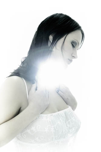 Tristania photo